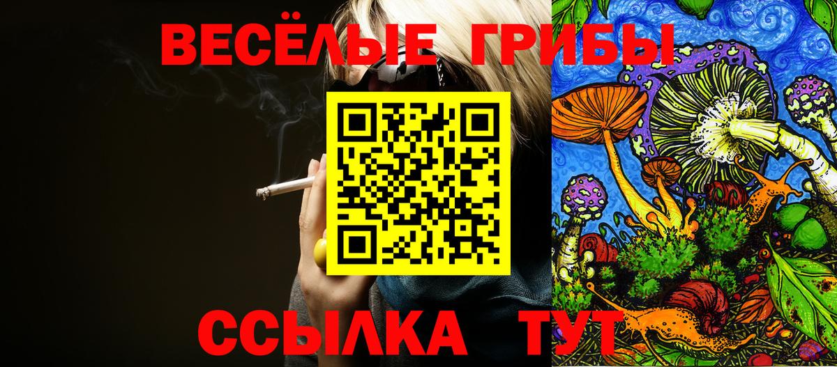 Псилоцибиновые грибы прущие грибы Миллерово